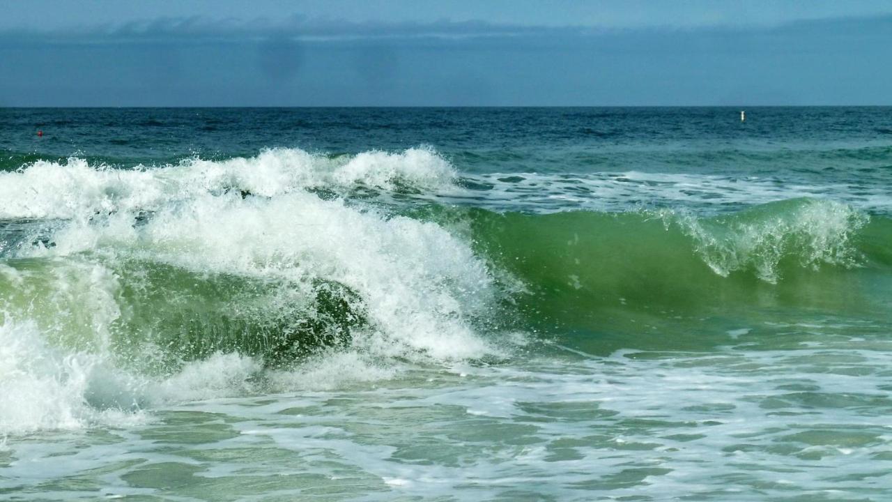 C7-Dolphin Villa St. Pete Beach Buitenkant foto